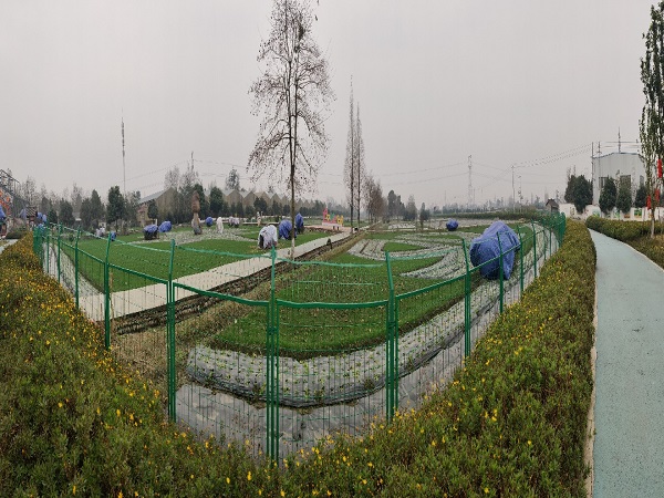 1582798119270040769.jpg 4.jpg