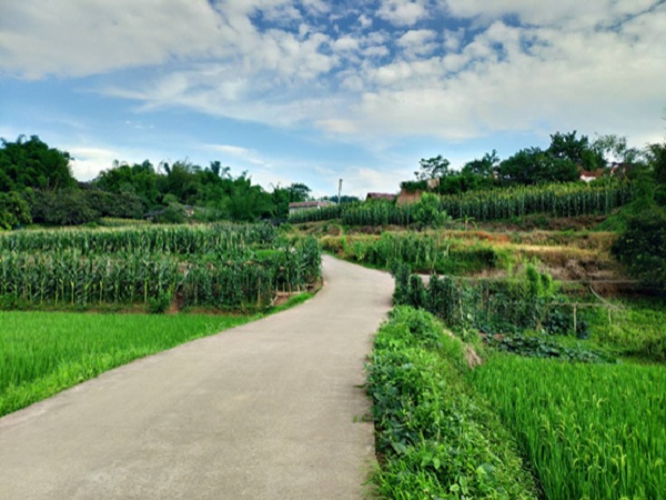 1637060009006029166.png X7DZ_Y67$0EI0GVFIH(42XI(1).png