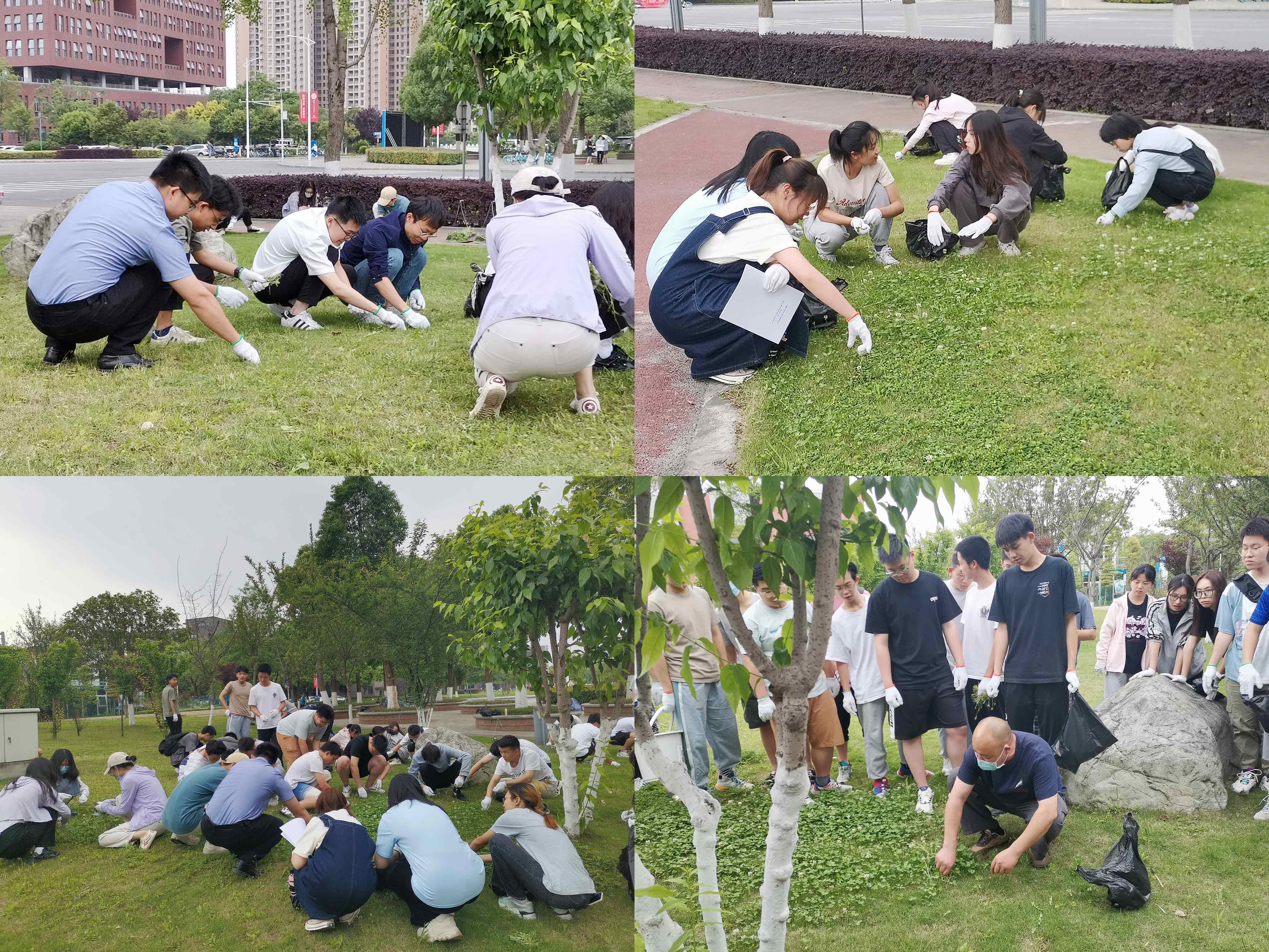 1651302191561034834.jpg 1651302191561034834.jpg