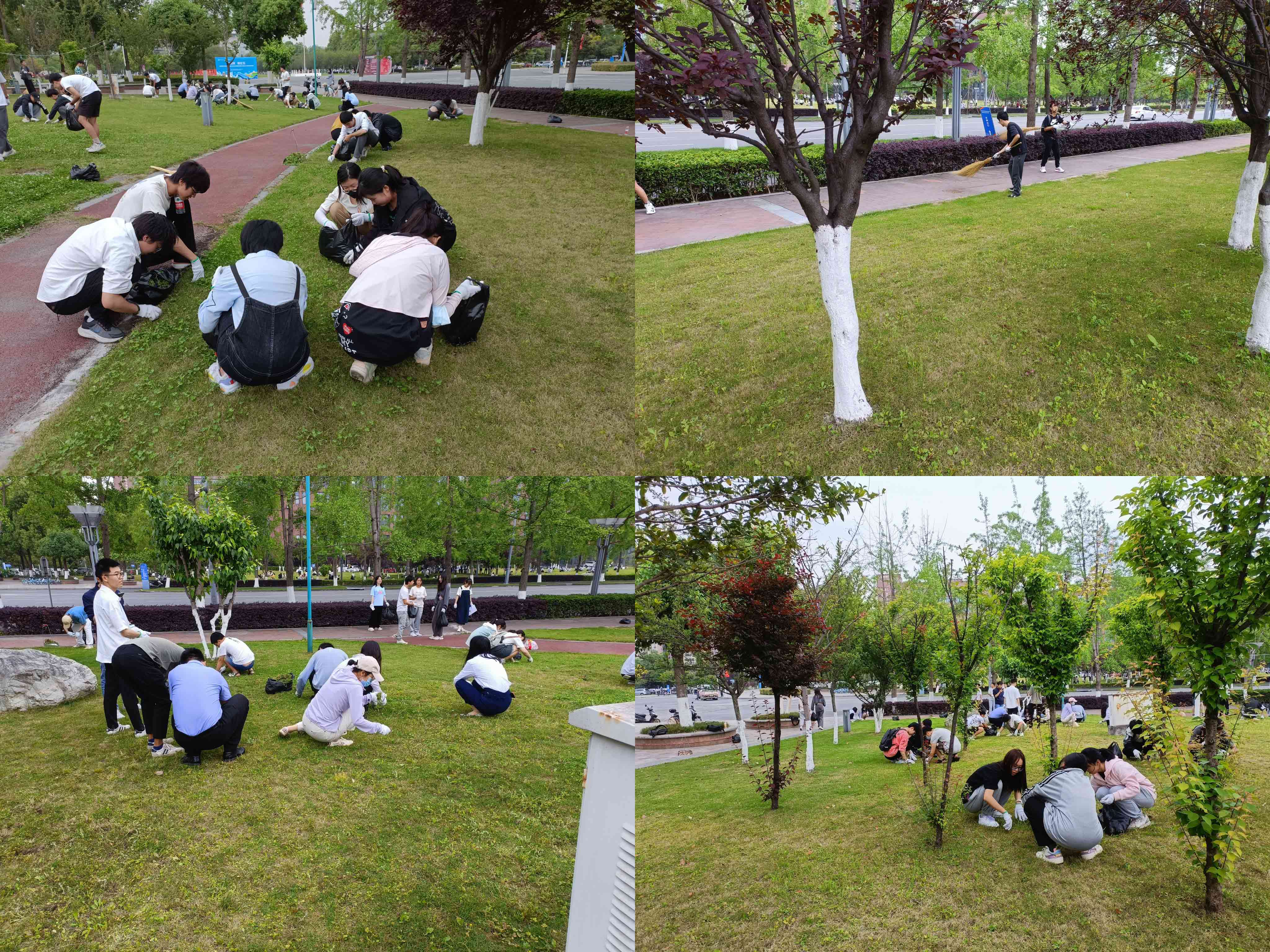 1651302264647080824.jpg 1651302264647080824.jpg